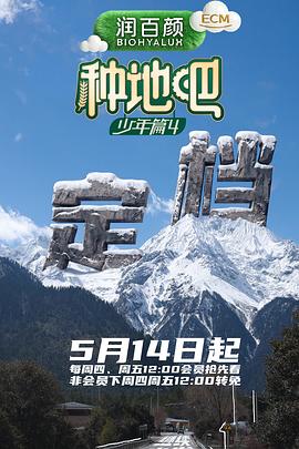 放下手机2025